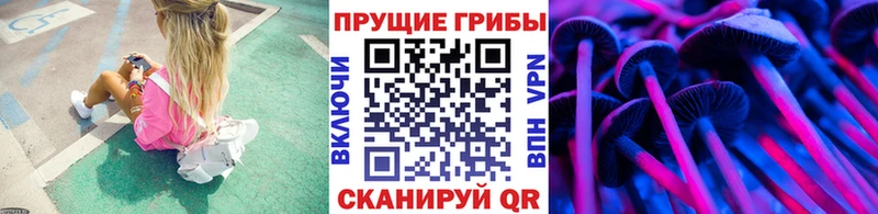 Купить где  Асино  Галлюциногенные грибы ЛСД 